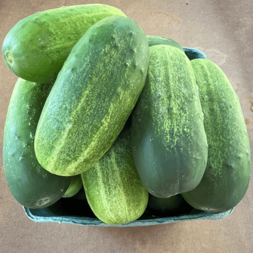 https://usetill.com/static/5660a50f0455bec00a7b7c8c47e6bcb4/46604/Cucumbers-product-1690159718209.png